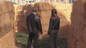 A tavaszi buli