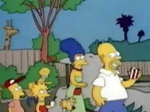Zoo Story